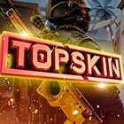 TopSkin
